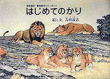 Yoshida Toshi animal picture book